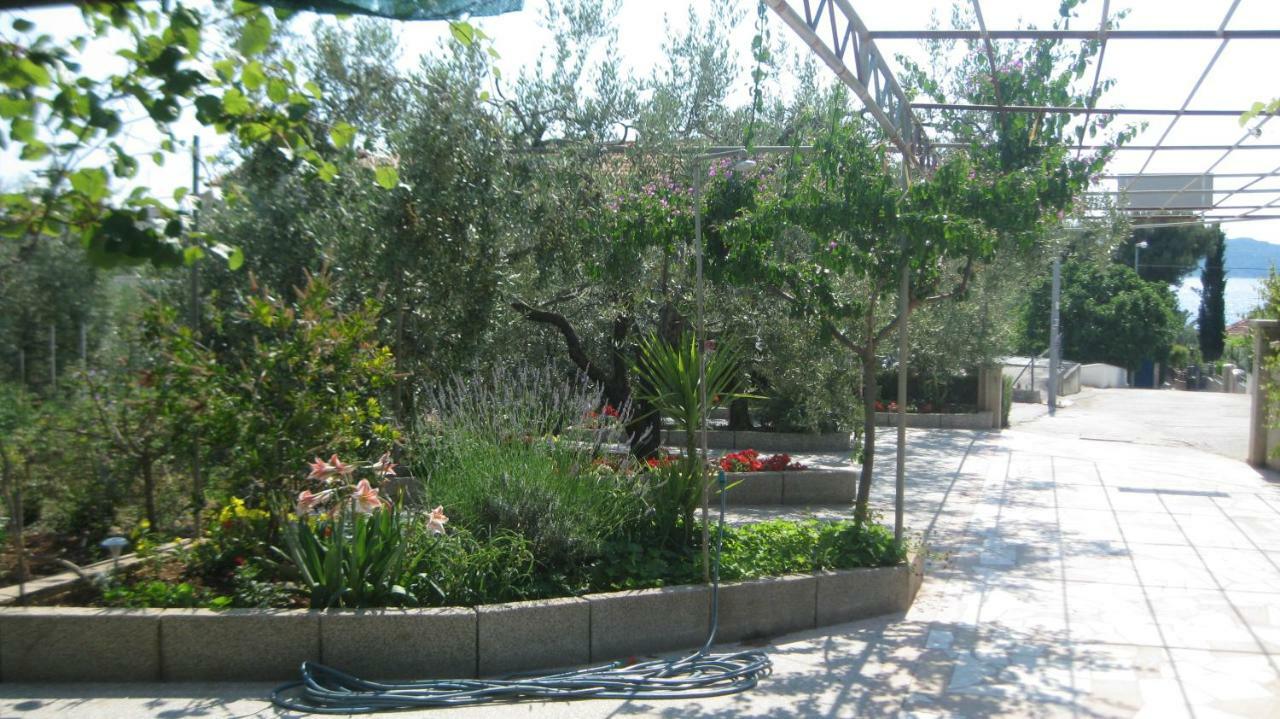 Apartments Maslina Trogir Exterior foto